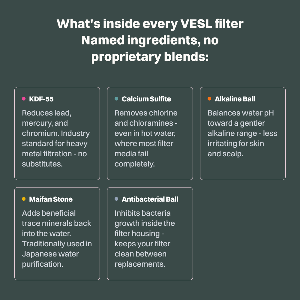VESL filtered showerhead — slide 5