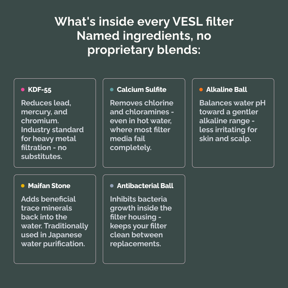 VESL view 2